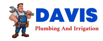 Trusted plumber in DRIGGS